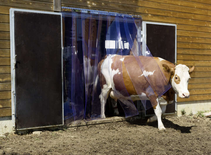 KERBL PVC-Streifenvorhangset